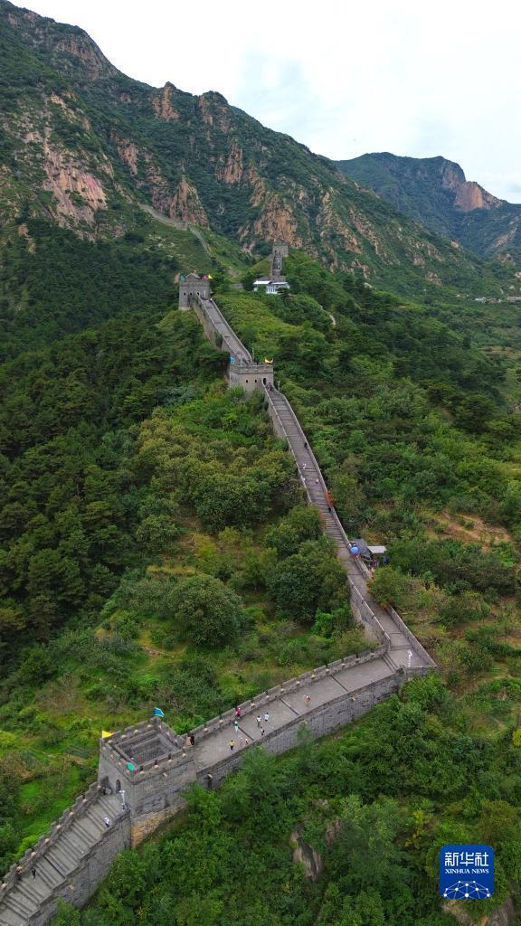 澳门新匍京怎么下载